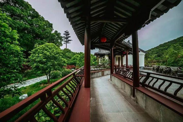 用黄斗泡水发孝当肥料行吗游戏画面